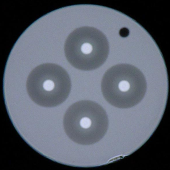 Glass outer diameter is 125 microns​
