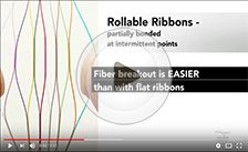 OFS - Rollable Ribbon Series